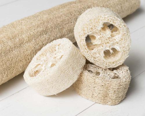 SavonnerieCite_Luffa-2